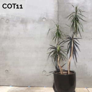 Concrete Outdoor Table COT11